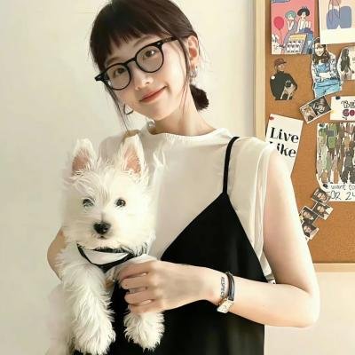 猪堕井的那天